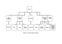 Diplomdarbs 'Jaunas viesu mājas izveide Dobeles rajonā', 38.