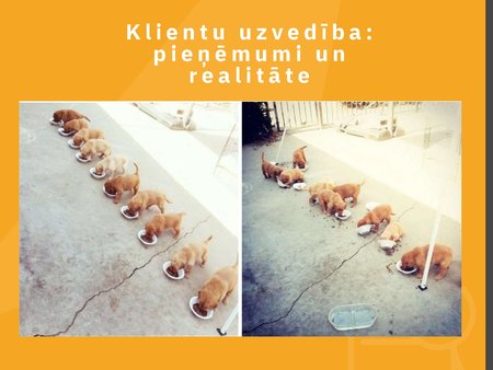 Prezentācija 'Ievads digitālajā mārketingā', 17.