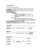 Konspekts 'Loģistika', 17.