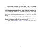 Referāts 'Politiskā reklāma 9.Saeimas vēlēšanās', 4.