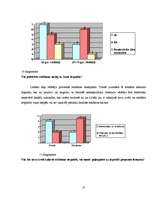 Referāts 'Politiskā reklāma 9.Saeimas vēlēšanās', 17.