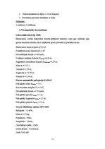 Paraugs 'Būvdarbu tehnoloģija un darba drošība', 11.