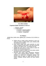 Referāts 'Asinsrites modeļi', 8.