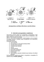 Referāts 'Asinsrites modeļi', 17.