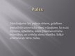 Referāts 'Asinsrites modeļi', 31.