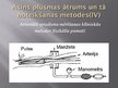Referāts 'Asinsrites modeļi', 37.
