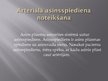Referāts 'Asinsrites modeļi', 38.