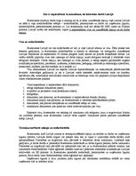 Konspekts 'Kas ir nepieciešams ārzemniekam, lai iekārtotos darbā Latvijā', 1.