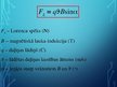 Prezentācija 'Lādētu daļiņu kustība magnētiskajā laukā. Lorenca spēks', 5.
