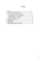 Prakses atskaite 'Prakse muitā', 2.