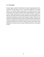 Referāts 'The Main Characters and their Interconnection in George Eliot's Novel "Middlemar', 10.