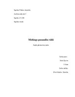 Referāts 'Mobings pusaudžu vidū', 1.