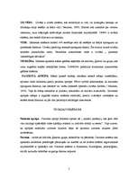 Eseja 'B. Ņūmanes teorijas analīze', 2.