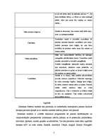 Eseja 'B. Ņūmanes teorijas analīze', 8.