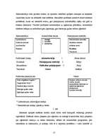 Eseja 'B. Ņūmanes teorijas analīze', 10.