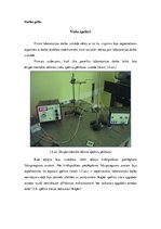 Paraugs 'Gaismas spektrs, izmantojot dažādas vielas un vienkāršus apgaismojuma avotus', 4.