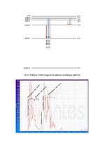 Paraugs 'Gaismas spektrs, izmantojot dažādas vielas un vienkāršus apgaismojuma avotus', 9.