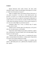 Paraugs 'Gaismas spektrs, izmantojot dažādas vielas un vienkāršus apgaismojuma avotus', 22.