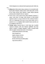 Referāts 'Parādu vērtspapīri', 6.