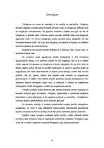 Referāts 'Parādu vērtspapīri', 13.