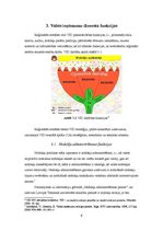 Referāts 'Valsts ieņēmuma dienesta loma un funkcijas Latvijas Republikas finanšu sistēmā', 9.