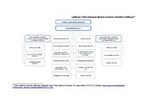 Referāts 'Valsts ieņēmuma dienesta loma un funkcijas Latvijas Republikas finanšu sistēmā', 27.