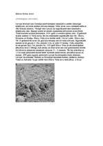 Referāts 'Bīlavu Velna laiva', 1.