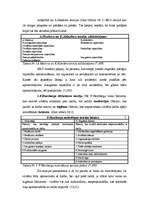 Referāts 'Motivēšanas teorijas, to salīdzinājums', 6.