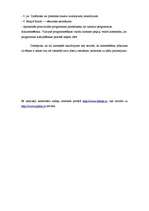 Eseja 'Komentāru sadaļas analīze internetā', 2.