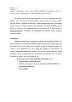 Eseja 'Komentāru sadaļas analīze internetā', 5.