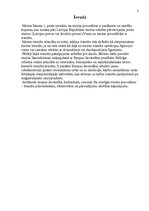 Referāts 'Muitas darbības organizēšana un kontrole', 3.