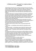 Referāts 'Muitas darbības organizēšana un kontrole', 4.