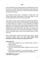 Referāts 'Saeimas komisiju darbs likumprojektu izstrādāšanā', 3.