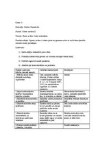 Prakses atskaite 'Vērojumu prakses dienasgrāmata', 3.