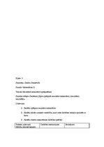 Prakses atskaite 'Vērojumu prakses dienasgrāmata', 9.