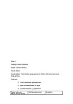 Prakses atskaite 'Vērojumu prakses dienasgrāmata', 11.