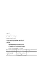 Prakses atskaite 'Vērojumu prakses dienasgrāmata', 15.