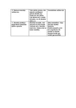 Prakses atskaite 'Vērojumu prakses dienasgrāmata', 23.