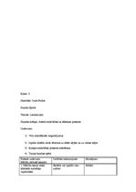 Prakses atskaite 'Vērojumu prakses dienasgrāmata', 28.