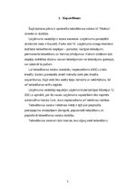 Biznesa plāns 'Tetovēšanas salons', 3.