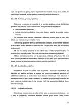 Diplomdarbs 'Lēmumu analīze informācijas tehnoloģijas projekta izstrādē', 22.