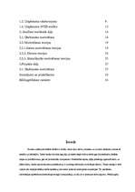 Referāts 'Uzņēmuma darbinieku motivācijas līmeņa paaugstināšana', 3.