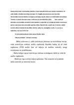 Referāts 'Uzņēmuma darbinieku motivācijas līmeņa paaugstināšana', 4.