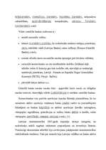 Referāts 'Uzņēmuma darbinieku motivācijas līmeņa paaugstināšana', 6.