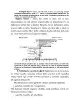 Referāts 'Uzņēmuma darbinieku motivācijas līmeņa paaugstināšana', 20.