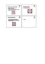 Konspekts 'Mājturības metodika 5.klasei', 15.