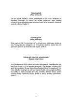 Referāts 'Priedes', 4.