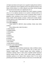 Diplomdarbs 'Uzņēmuma tēla veidošanas stratēģija SIA "Ksavers"', 13.