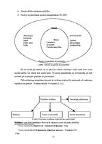 Diplomdarbs 'Uzņēmuma tēla veidošanas stratēģija SIA "Ksavers"', 21.