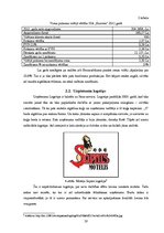 Diplomdarbs 'Uzņēmuma tēla veidošanas stratēģija SIA "Ksavers"', 28.